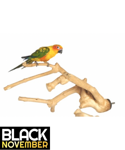 Java Wood Multibranch Perch For Parrots - Small